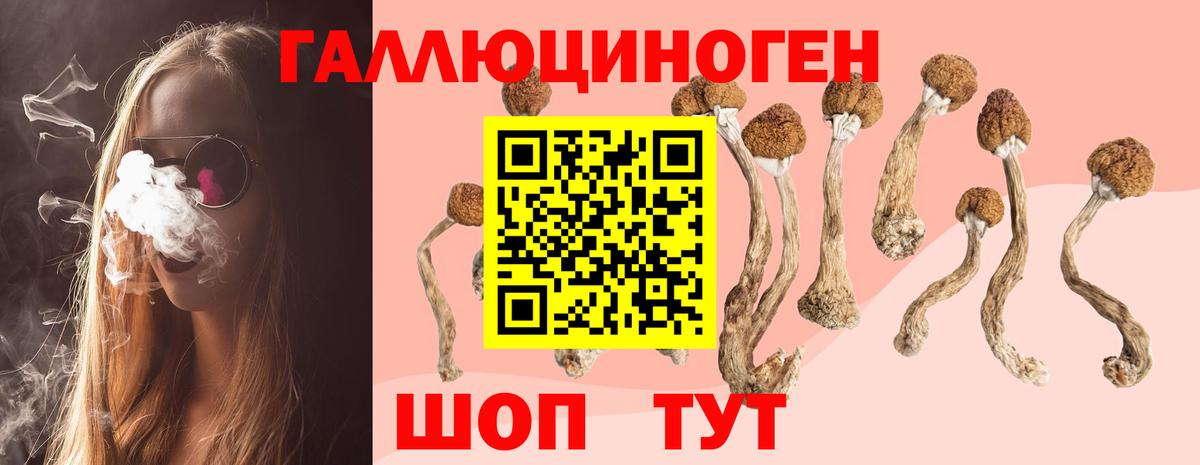 Псилоцибиновые грибы мицелий  Псилоцибиновые грибы GOLDEN TEACHER  Вход с VPN  Минусинск 